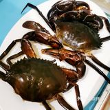 中山的蒸汽海鲜流舫还是不错的