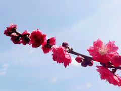 -楠溪江风景名胜区