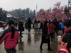 -大雁塔北广场音乐喷泉