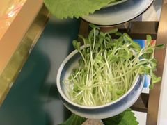 -烹然四季椰子鸡火锅(姚家园万象汇店)