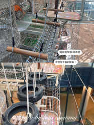 -PIPIKINGDOM皮皮王国欢乐号(欢乐海岸购物中心店)