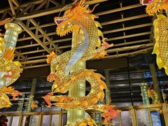 -武汉园博园(武汉自然博物馆)