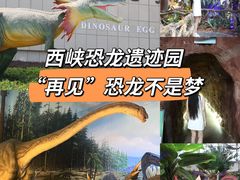 -中国西峡恐龙遗迹园