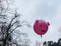 -岳麓山风景名胜区
