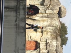 iphone_upload_pic-南昌动物园