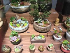 -方所(华润万象城店)