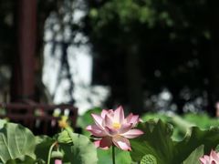 -丝绸小镇荻港古村