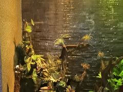 -泰适SPA馆丨精油·按摩·足道(后海地铁口店)