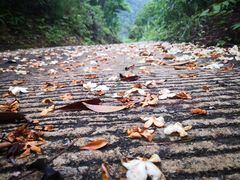 -象头山国家级自然保护区