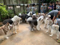 -TrueLove @ Neverland (Husky Cafe)