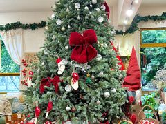 -知物癖(牛王庙店)