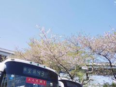 -上海南浦大桥长途旅游客运站