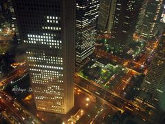 -东京都厅舍