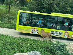 -西安秦岭野生动物园