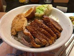 金奖卤鹅肉饭-陈鹏鹏潮汕菜(宝安机场T3航站楼店)