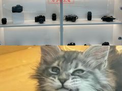 -厦门市图书馆(集美新城馆区)