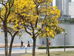 -深圳人才公园