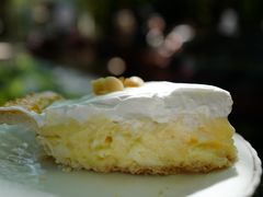 椰子奶油派-Fern Forest Cafe