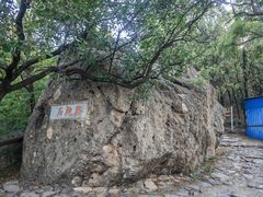 -阳台山自然风景区