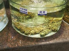 -新海利海鲜城·41年珠海老字号(夏湾店)