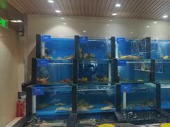 -品味居·首店·大连鲜活海鲜大连菜(东港店)