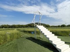 -苏州太湖西山岛开心农场