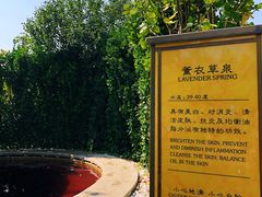 -大连金石滩绿发温泉假日酒店