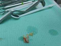 -牙博士口腔品牌连锁(杨浦店)