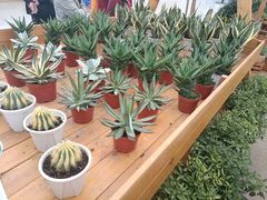 -中国天府农业博览园