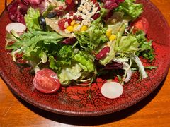 蔬菜沙拉-布拉格餐厅· 中欧捷克菜(全国首店)