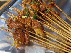 -晓靖轩烧烤(沙河风情店)