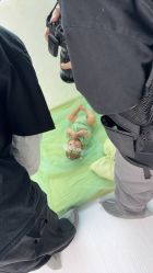点击看大图 -大树儿童摄影