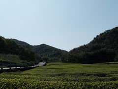 -东钱湖旅游度假区
