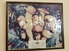 -太婆天府山珍酒楼(亚运村店)