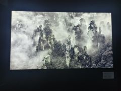-中国美术学院-美术馆