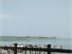 -西青郊野公园