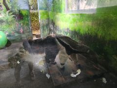 -常州淹城野生动物世界