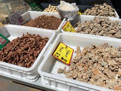 -中环花鸟鱼虫市场