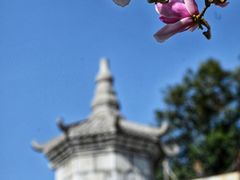 -长春观