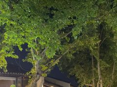 -猫的天空之城概念书店(杭州南宋御街店)