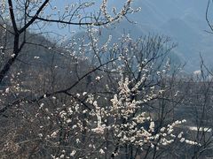 -水峪民俗村