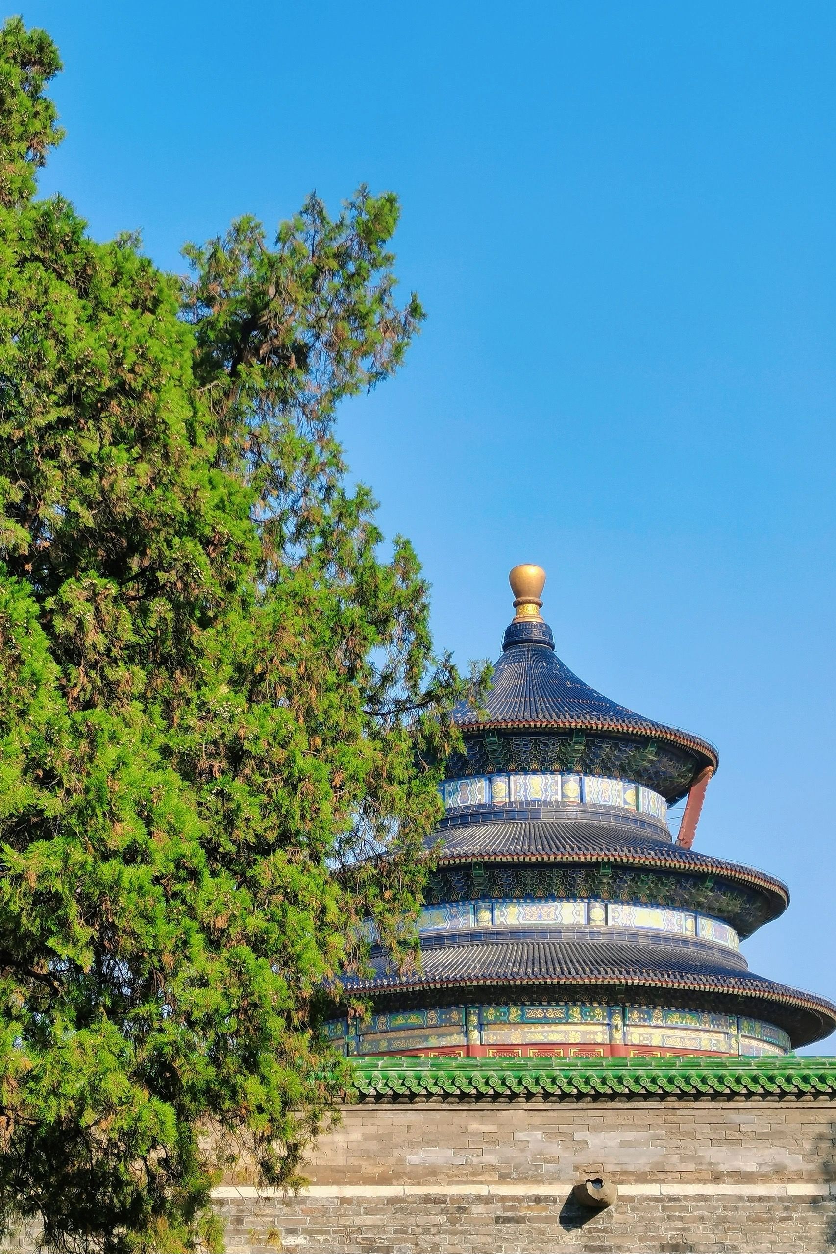 02天坛公园三条经典游览路线推荐6015