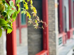 -莲池书院博物馆