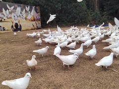 -青龙山国家森林公园