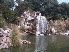 iphone_upload_pic-西郊宾馆·1921餐厅