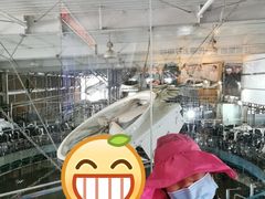 -君乐宝优致牧场
