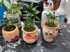 -梅州天地人花园酒店(梅县人民广场店)