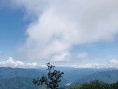 -牛背梁国家森林公园