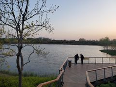 -东郊湿地公园