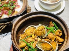 沙姜鲍鱼啫果园鸡-啫神·广州地标美食(北京路店)